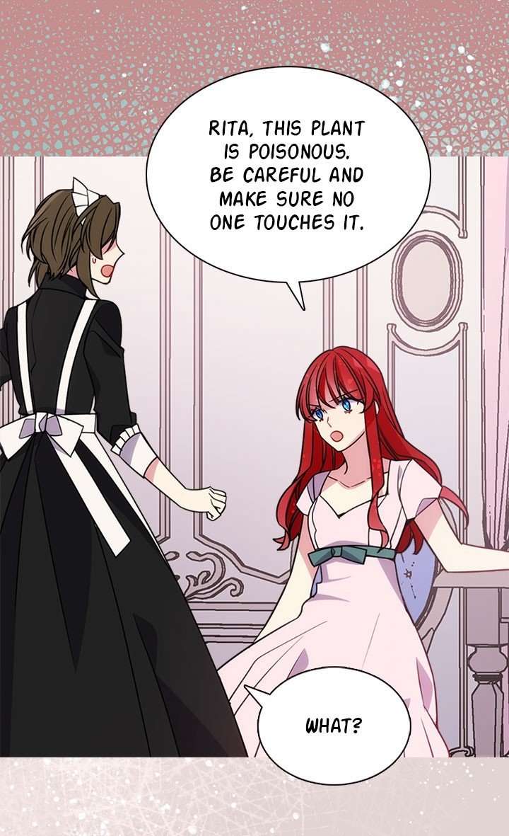 Read Adelaide EN Manga Online