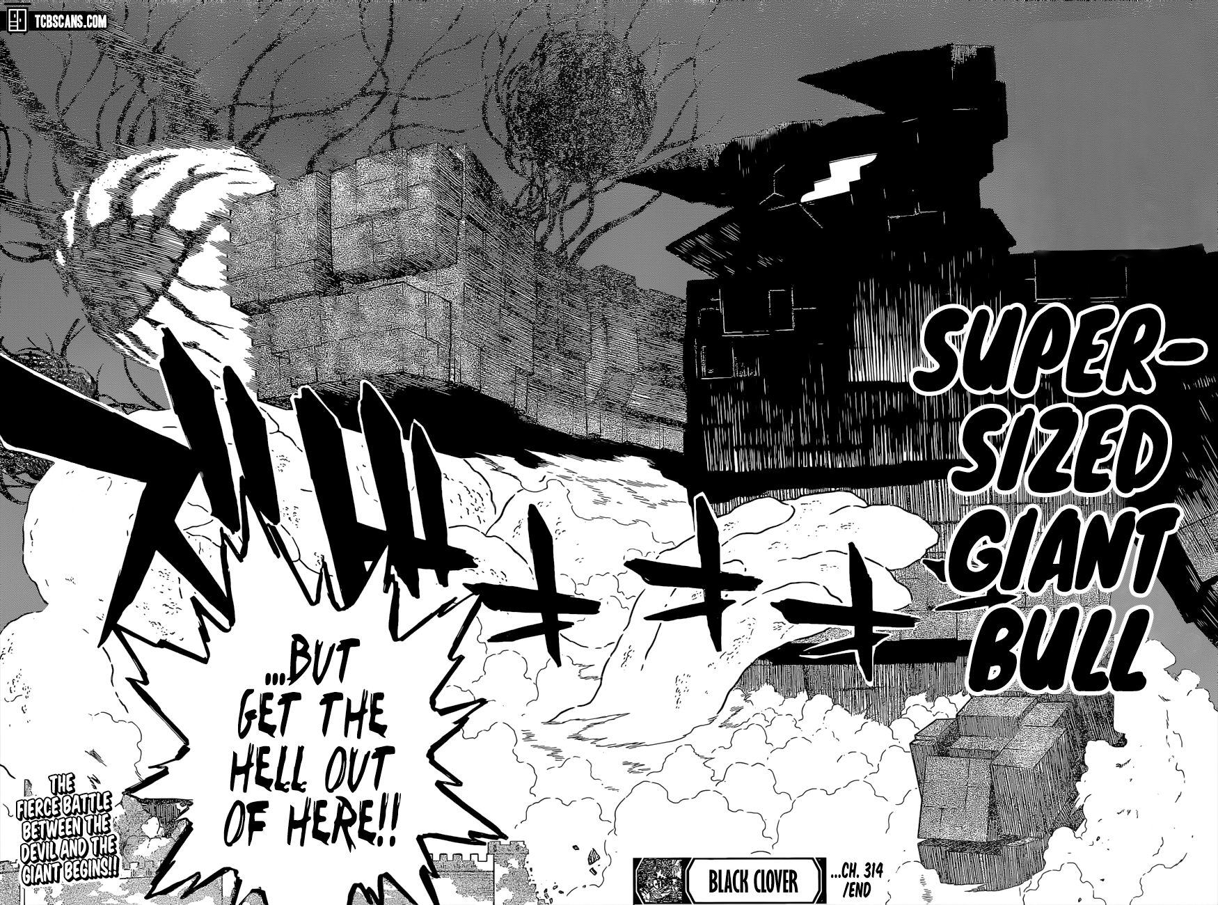 Read Black Clover EN Manga Online
