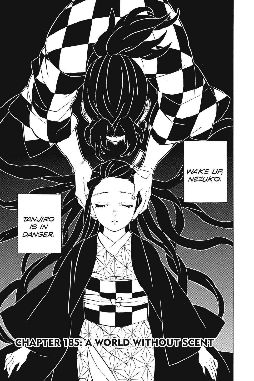 Read Demon Slayer EN Manga Online