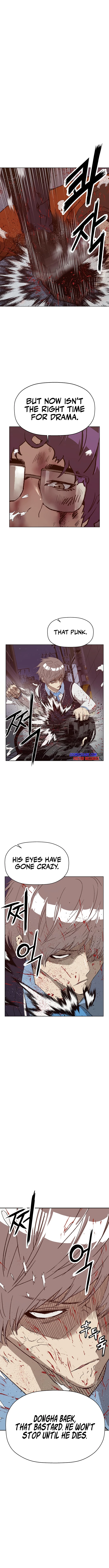Read Weak Hero EN Manga Online