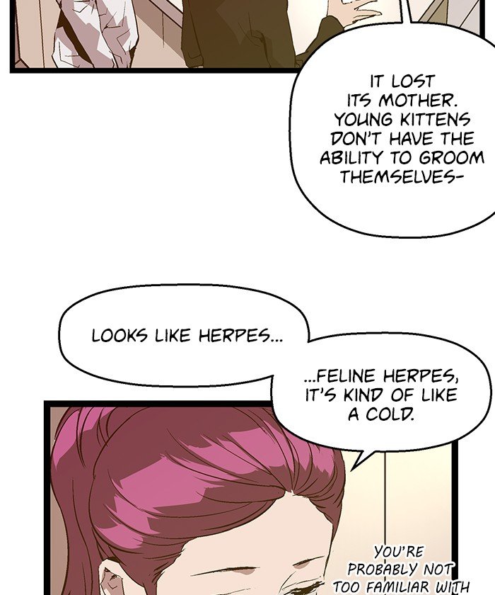 Read Weak Hero EN Manga Online