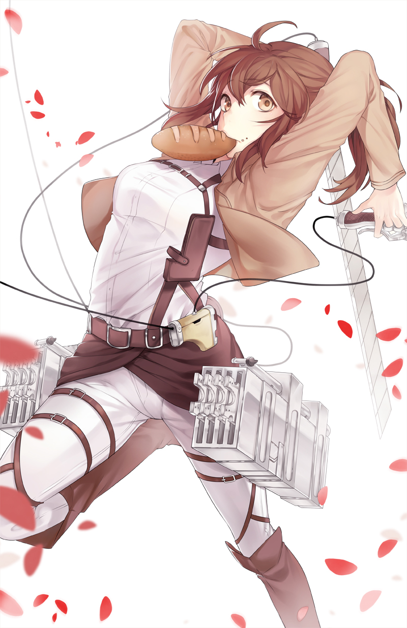 Read Attack on Titan ID Manga Online