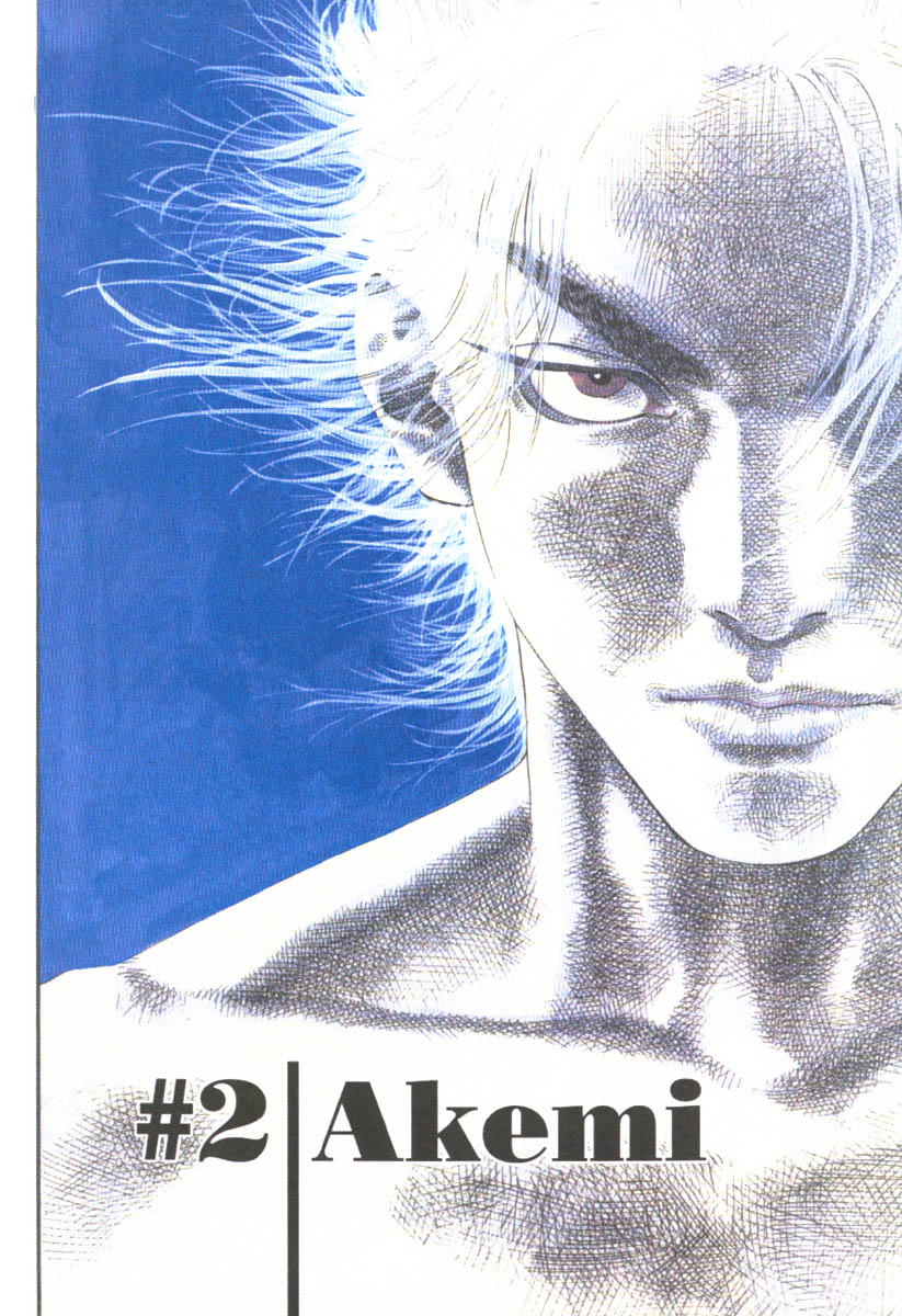 Read Vagabond IT Manga Online