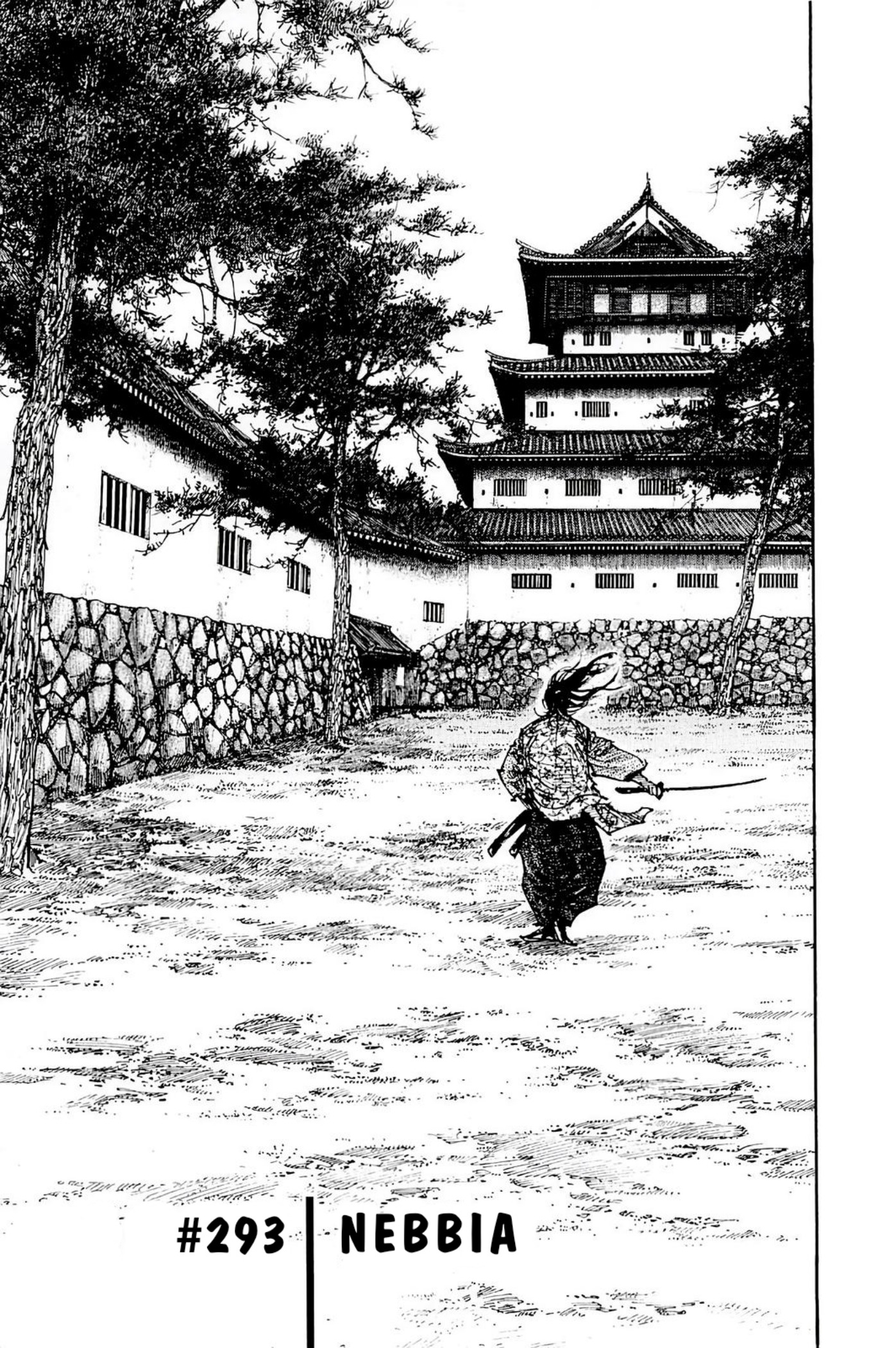 Read Vagabond IT Manga Online